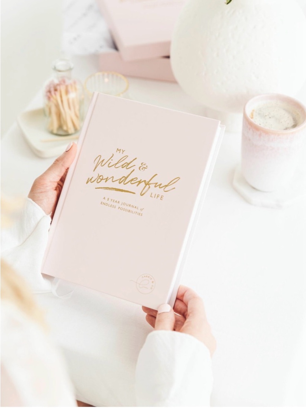 Carrie & Co. My Wild & Wonderful Life Pink Journal NIB